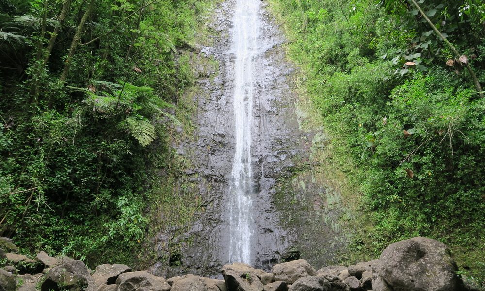 Manoa,Falls,In,Honolulu,,Oahu,,Hawaii